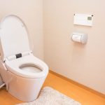 災害 トイレ対策